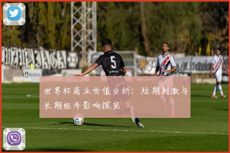 世界杯商业价值分析：短期刺激与长期经济影响探究